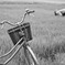 おじいちゃんの自転車
