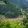 山間の棚田