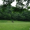 曇りの朝の公園