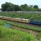 2025/06/15　9286　EF65-2084