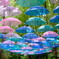 雨の森を彩る傘の空