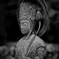 香り高き慈悲の智慧