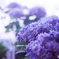 誘惑(=^・^=)film