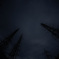 Z63_5069_6019