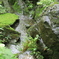 一条恵観山荘 #22
