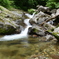 岩場の水辺