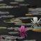 映り込み１