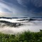 梅雨時の雲海