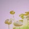 spring path 229