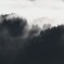 白と黒の風景