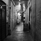 monochrome #84