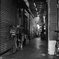 monochrome #85