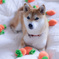 にんじん畑に連れて行って