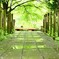 Green way