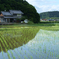 橿原市　鳥屋町