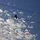 夕暮れの鳩