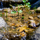 Creek