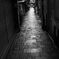 法善寺への路地　P1086922zz