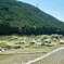 岩座神の棚田