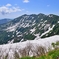 残雪の守門岳
