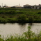 河川敷