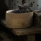 子猫