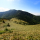四阿山