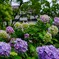 DSCF2323-8s