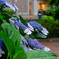 DSCF2292-7s