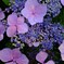 DSCF2266-5s
