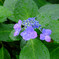 DSCF2264-3s