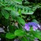 DSCF2355-15s