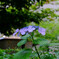 DSCF2351-14s