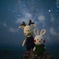 あみぐるみと星空