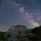 花明かりと星河
