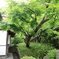 長寿寺 #6