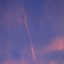 空のネジバナ