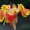IMGP0881