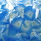 紫陽花の季節６「青い世界」
