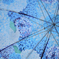 A Hydrangea Sky