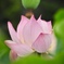 DSCN0017