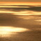 黄金の海