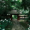 本光寺