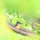 Greenの中で。