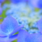 Blue Gradient