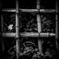 IMG_2025_06_25_2351482734