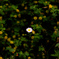 IMGP6535