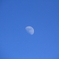 Day and Moon