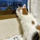 じーっ・・・