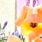 華…その5